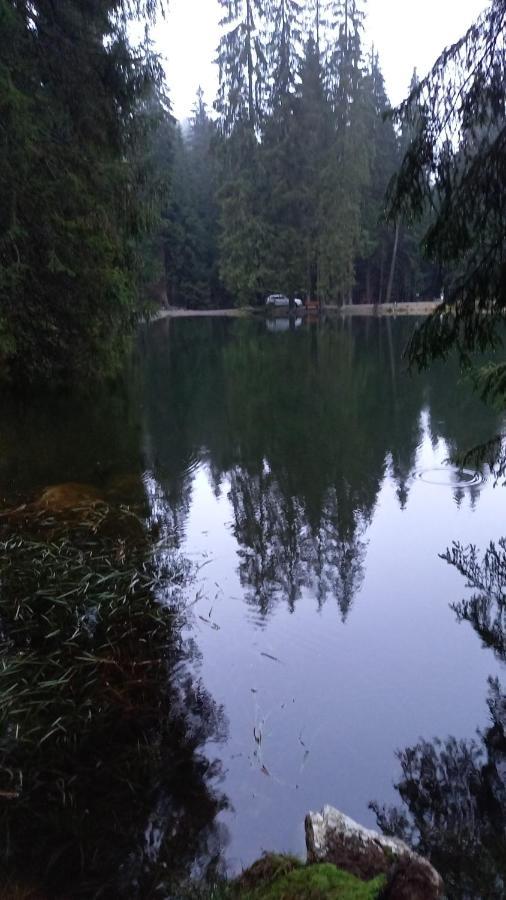 Monteurwohnung Aroba Fehrenbach Kültér fotó