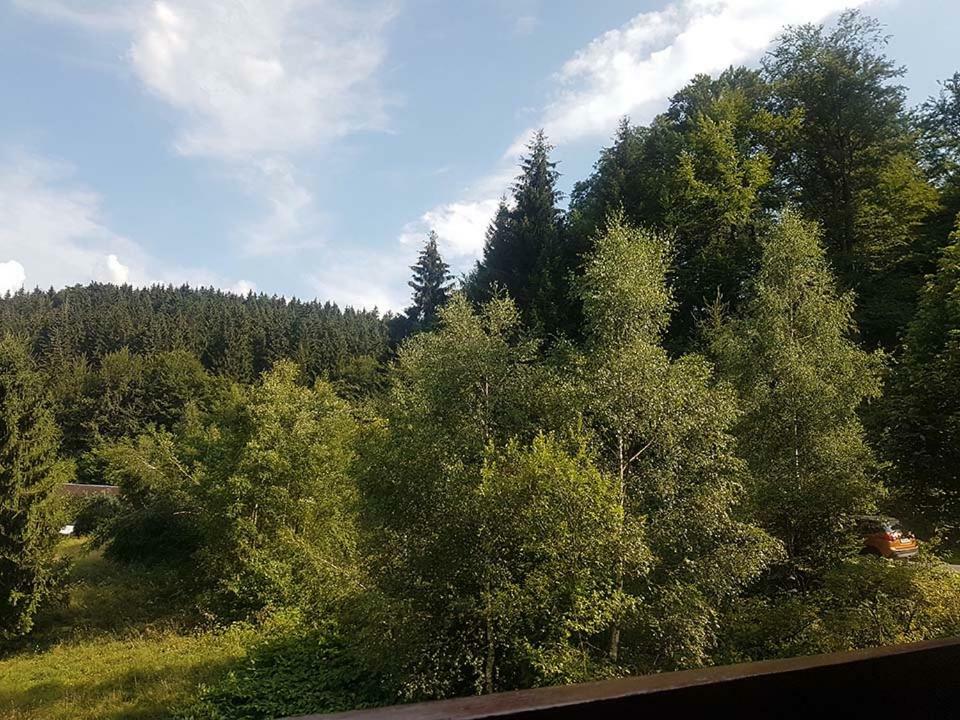 Monteurwohnung Aroba Fehrenbach Kültér fotó