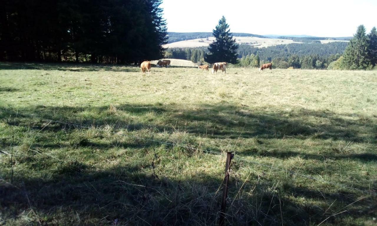 Monteurwohnung Aroba Fehrenbach Kültér fotó