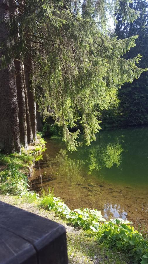 Monteurwohnung Aroba Fehrenbach Kültér fotó