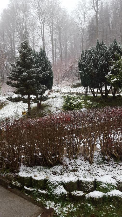 Monteurwohnung Aroba Fehrenbach Kültér fotó
